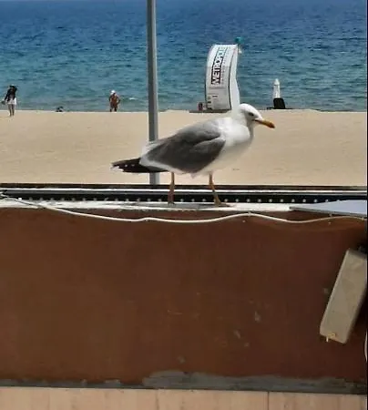 شقة Sunny Beach *